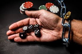 Как войти на сайт DBbet Casino